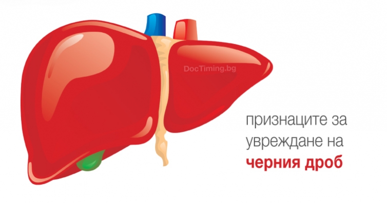 Кои са признаците за увреждане на черния дроб?