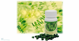 Спирулина - зеленото чудо, което пази от артрит, диабет и рак