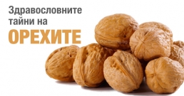 Големите здравословни тайни на орехите (изпитани рецепти)