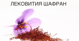 Скъпият шафран – полезна билка за куп болести
