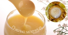 Пчелно млечице- да използваме „суперхраната” на пчелата-майка