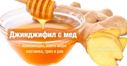 Джинджифил с мед – комбинация, която мори настинка, грип и рак