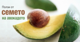 Спрете да хвърляте костилките на авокадото – 9 страхотни ползи от тях