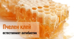 Пчелен клей – естественият антибиотик срещу възпаления, гъбички и язви