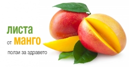 Изключителните ползи за здравето от листата на манго