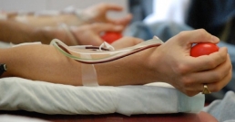 Спешна нужда от кръводарители в Търновската болница