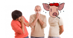 Любопитно за свинския грип
