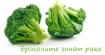Фолиева киселина от природата. Броколите гонят рака и спират туморите