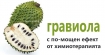 Гравиола – най-силният антиканцероген