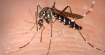 Англичанин забрани на комарите да хапят