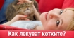 Как котките лекуват