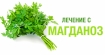 Соколечение с магданоз