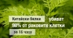 Китайски билки убиват 98% от раковите клетки за 16 часа