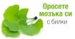 Помогнете си с билки за оросяване на мозъка