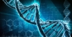 Чудото на еволюцията: хора с тежки генетични мутации остават здрави