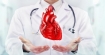 Отгледаха сърце само от стволови клетки