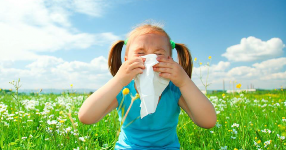 Възход на сезонните алергии през пролет 2014!