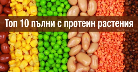 Топ 10 пълни с протеин растения за здравословна диета