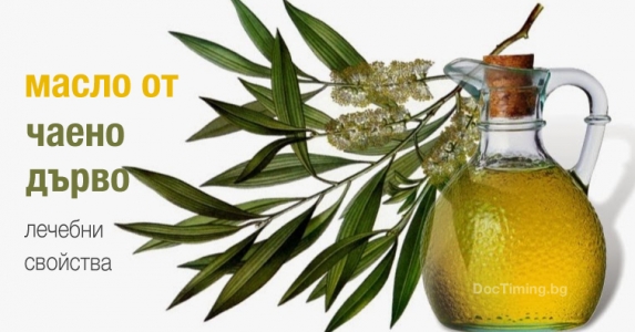 Лечебните свойства на маслото от чаено дърво