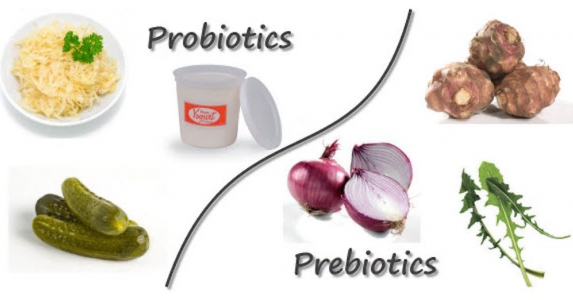 Пребиотици и пробиотици