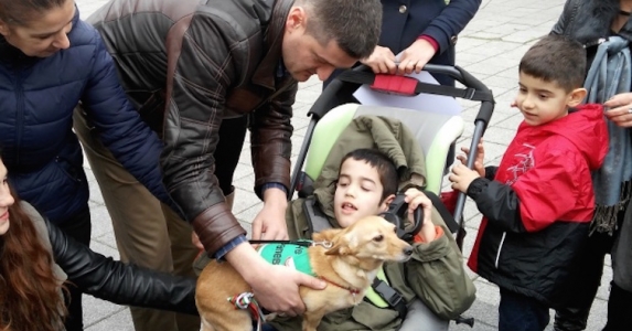 Първото куче - терапевт - помощник на 9-годишно момче от Бургас