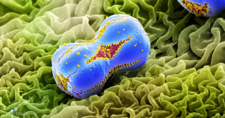 20% от хората са със сенна хрема