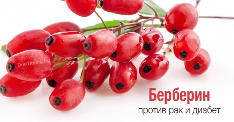 Берберин или "магически куршум" - натурално лечение на диабет