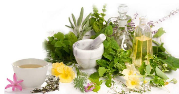 Десет билкови рецепти, които ще помогнат при ревматизъм