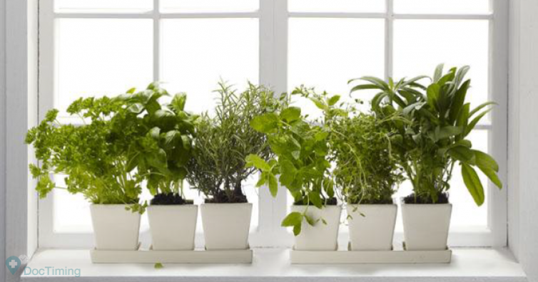 Как да си направим ароматна аптека у дома