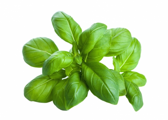 Царската билка босилек – лекарство и подправка в едно