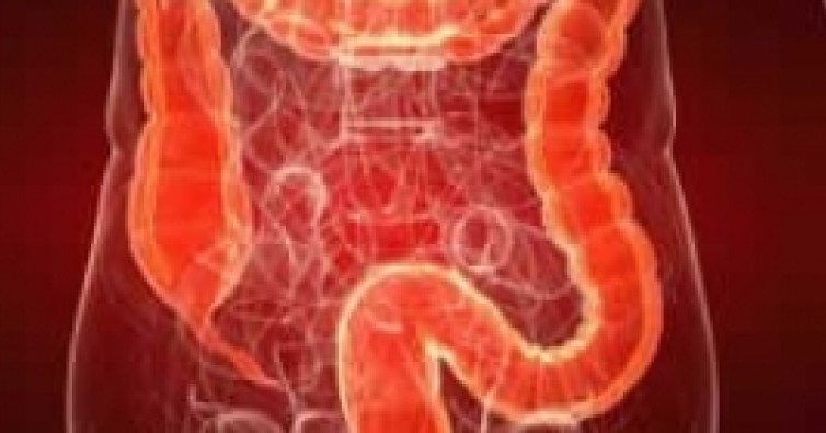 Грижи за дебелото черво и храносмилателния тракт