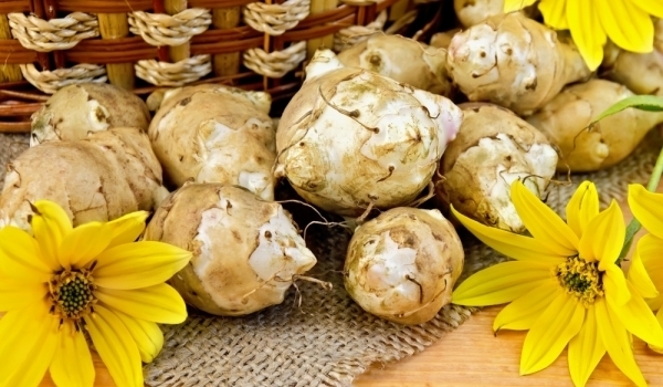 Полезната гулия изненадва с лечебните си свойства