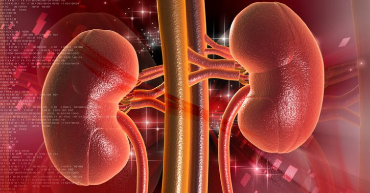 5 невероятни рецепти за детокс на бъбреците