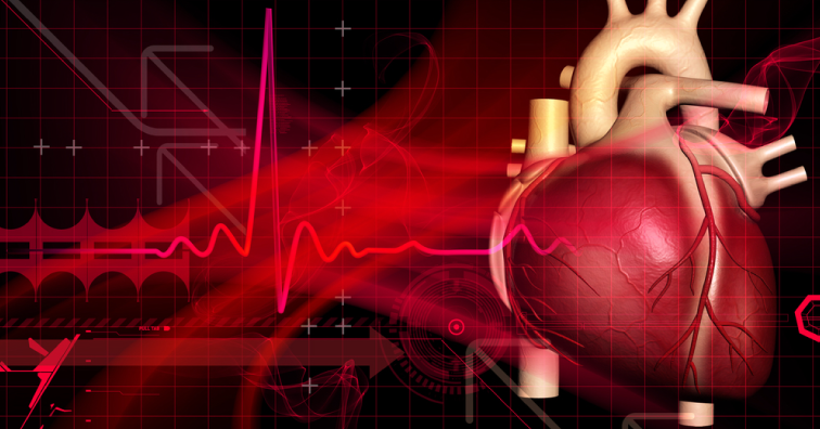 Най-ефективните добавки и начин на живот за добро здраве на сърцето