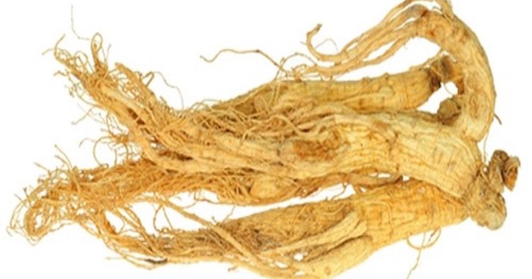 С корен от жен шен в борба с рака, диабета и анемията