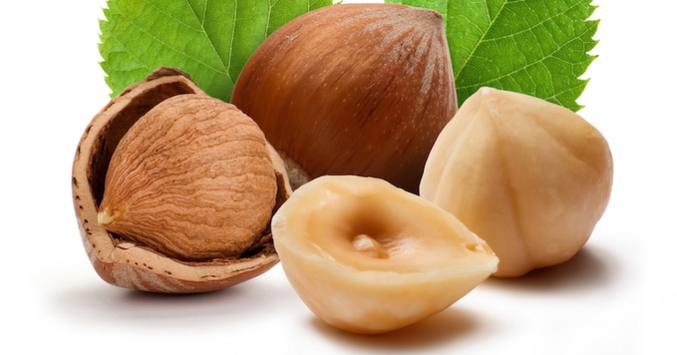 Лешниците – полезни за бъдещите майки, гонят рака и пазят сърцето