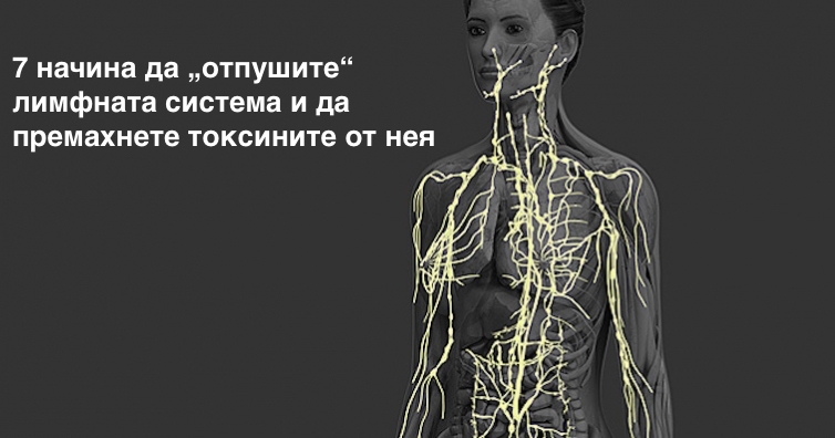 7 начина да "отпушите" лимфната система и да премахнете токсините от нея