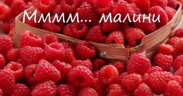 Малината - една пренебрегната билка