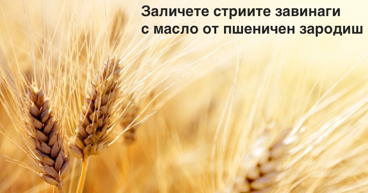 Заличете стриите завинаги с масло от пшеничен зародиш