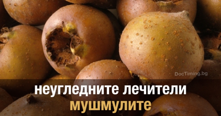Мушмулата – вкусна, неугледна, но лечебна