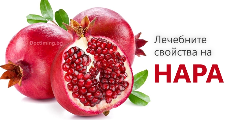 Лечебните свойства на нара