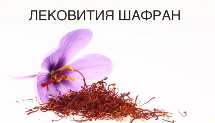 Скъпият шафран – полезна билка за куп болести