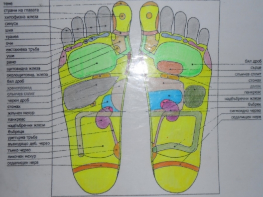 Масаж на ходилата - диагностика и лечение чрез рефлексотерапия