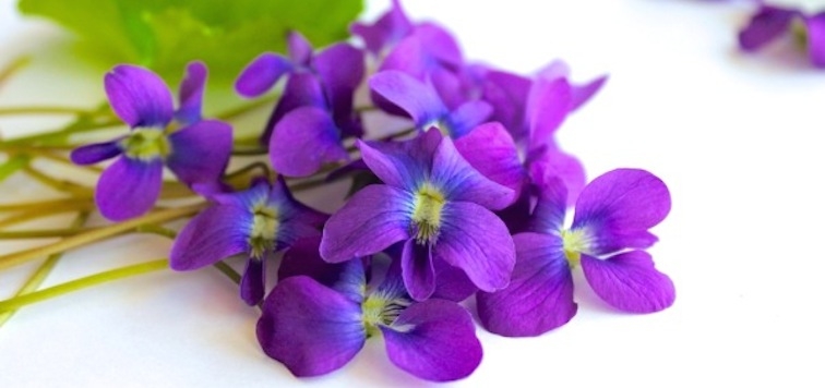 Теменужка и мушкато за здрав сън