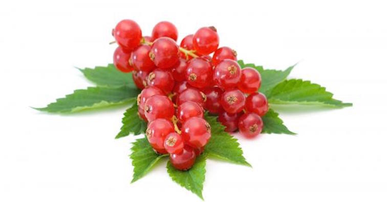 Ароматното френско грозде потиска развитието на тумори