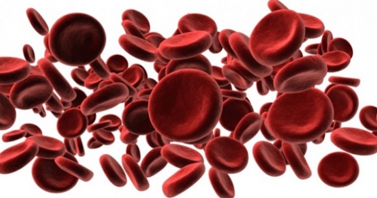 Храни за подобряване на ниския хемоглобин