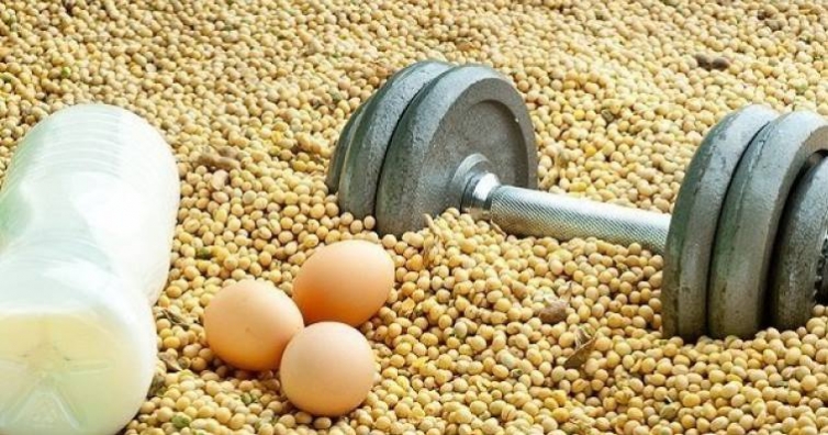 Хронична умора, затлъстяване и слаба издръжливост – набавяте ли си холин?