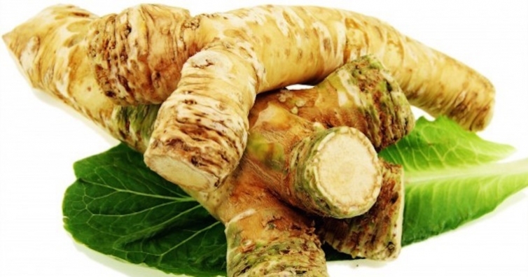 Лековитият хрян прави чудеса с тялото, рецепти