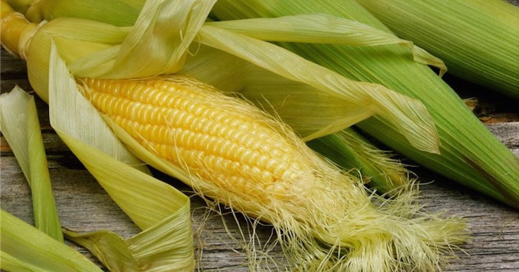 Открийте мощните ползи от лековитата коса от царевица