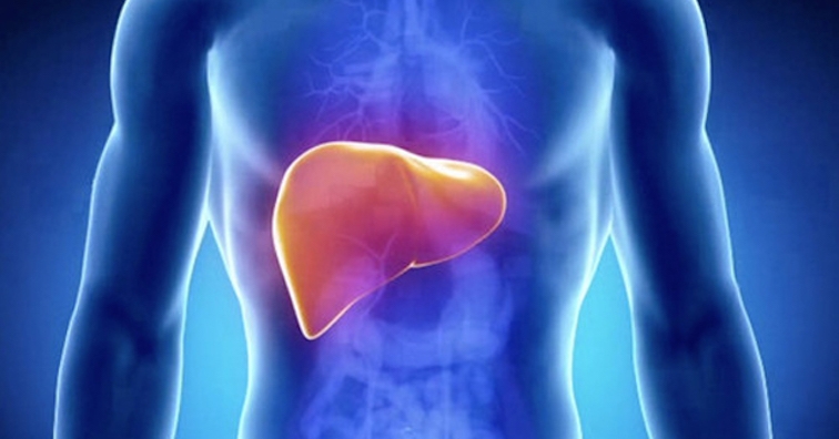 Говори ли ви черният дроб?